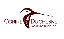 Acupuncture Corine Duchesne