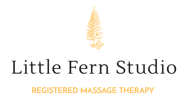 Little Fern Studio
