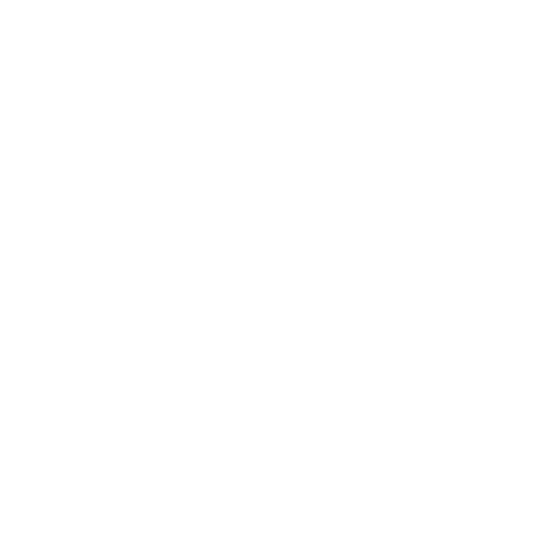 Sierra Spicer Therapy Services