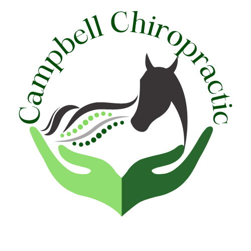 Campbell Chiropractic